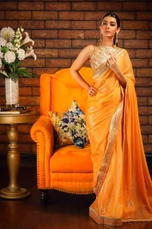 aziz ali saree